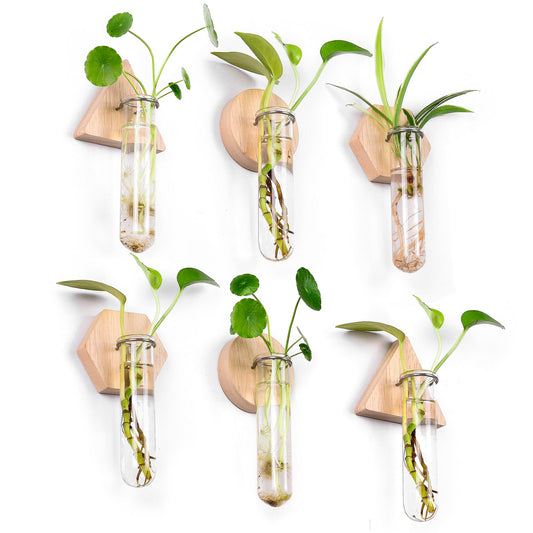 MITIME Wall Hanging Planter Glass Plant Propagation Station,Geometric Wooden Stand for Home Office Decoration.