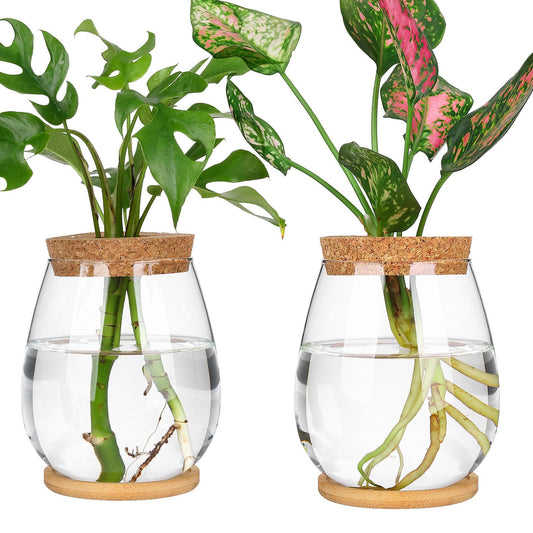 onepeng 2 Pcs Propagation Vases, Tabletop Plant Terrarium for Propagating Hydroponic, Glass Terrarium Vase Jars, Home Kitchen Decorations and Gifts for Plant Lovers