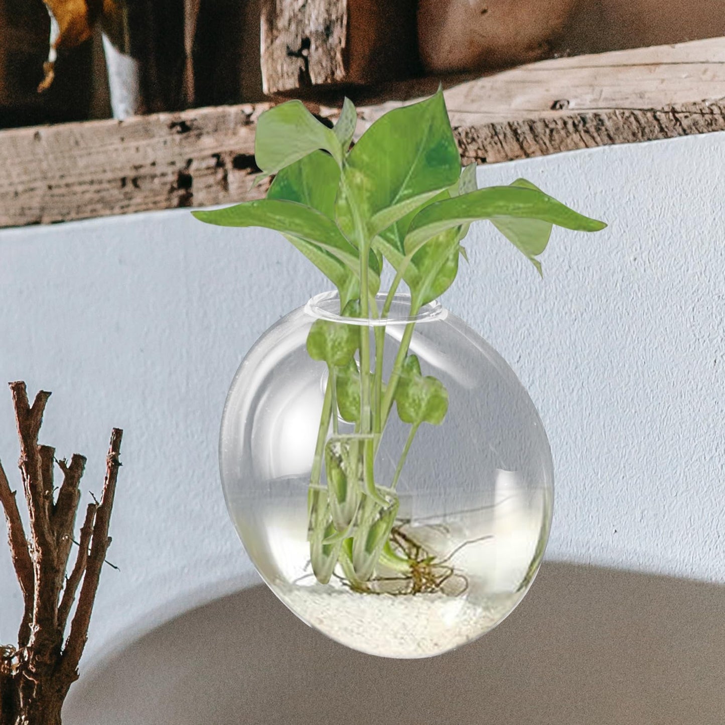 TOPPERFUN Wall Hanging Planter Glass Vase for Hydroponics Plants Small Glass Terrarium Vase Indoor Wall Flower Decor 1pcs