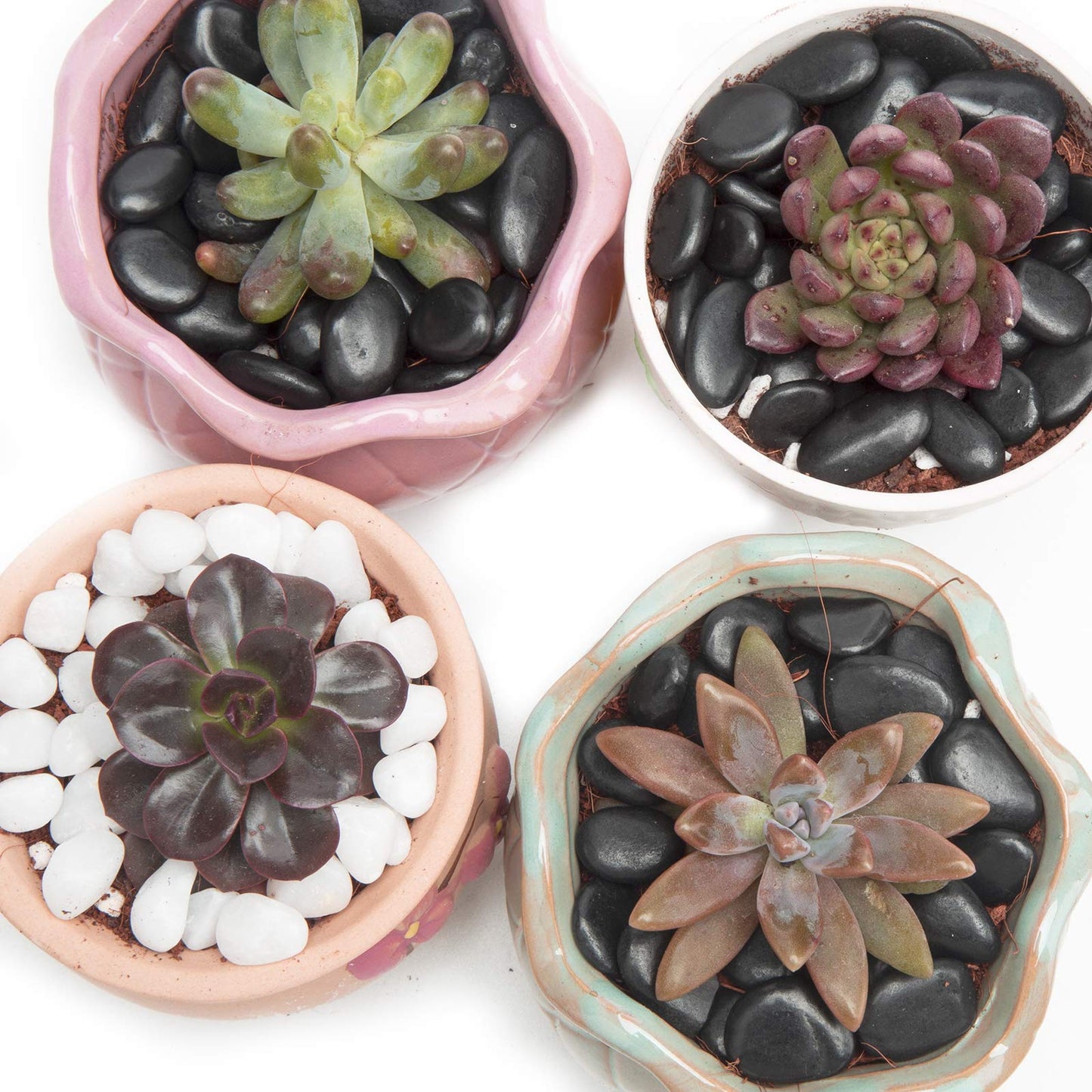 Black Small Pebbles - Decorative Gravel Rock Plant Stones,3/8" Natural Polished Stones Succulent Gravel,Pebbles Gravel for Bamboo Plants,Succulent,Home Decor,Landscaping,Vase Fillers.