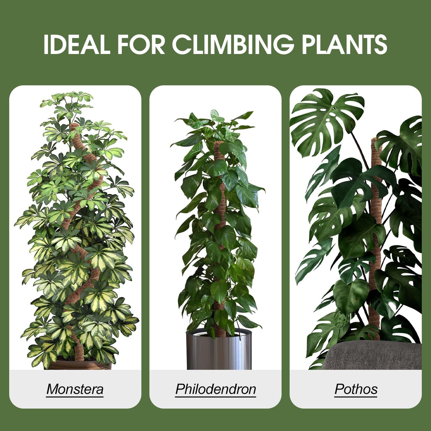 Handmade Coco Coir Moss Pole - 48 Inch Bendable Sticks Support for Climbing Plants, Monstera, Indoor Plants to Grow Upwards