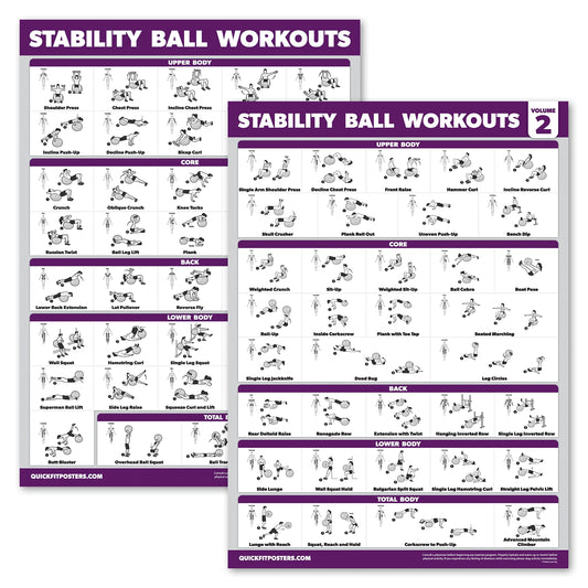 Palace Learning 2 Pack - Yoga Ball Workout Exercises Volume 1 & Volume 2 - Stability Ball Routine - Fitness Charts (18" x 24", Laminated)