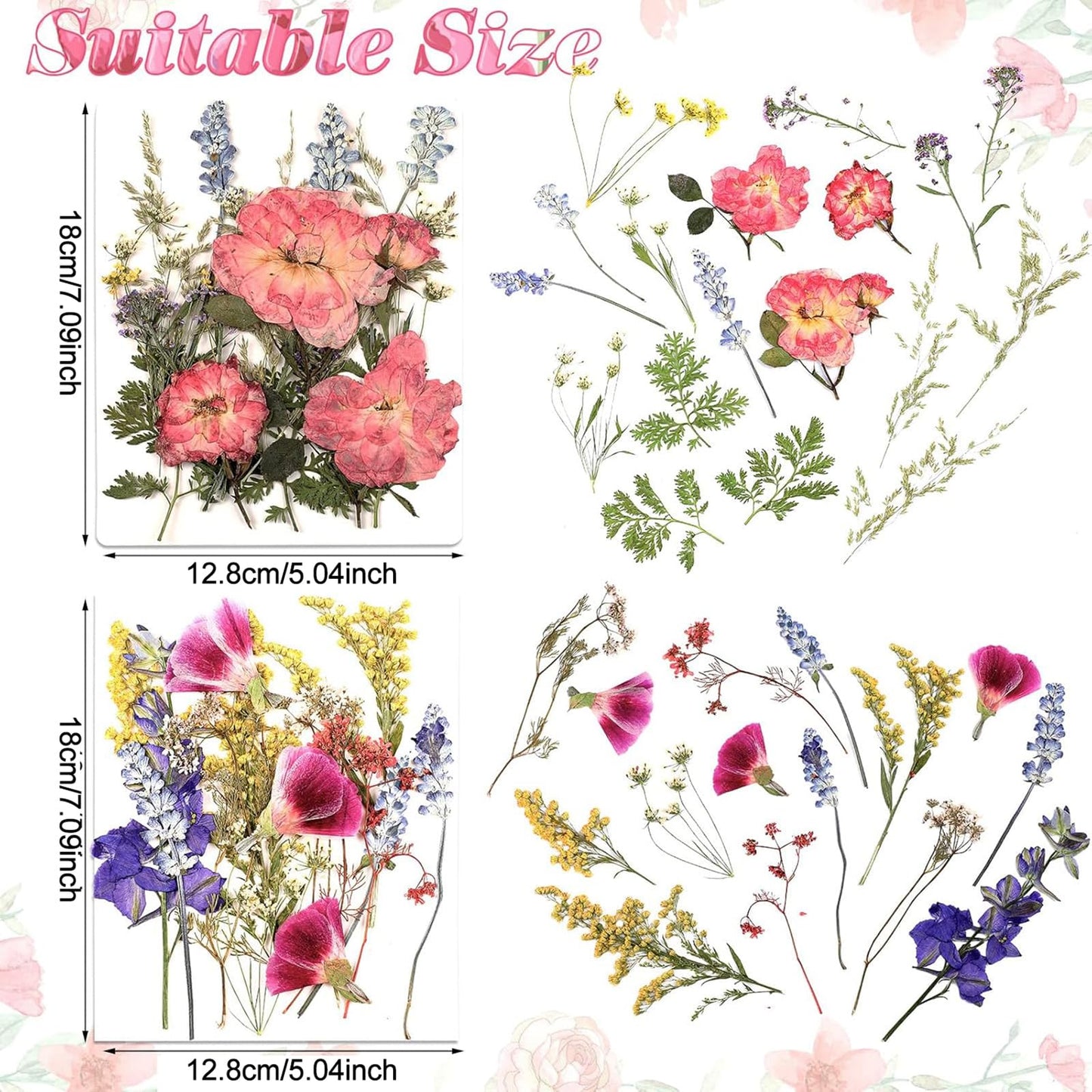 Nuanchu Dried Flower for Crafts Resin Pressed Flowers Bulk Dried Wildflowers Leave Natural with Tweezer for Resin Mold Scrapbooking Nail Soap Candle Making Cake Decorating DIY Christmas Craft Supplies