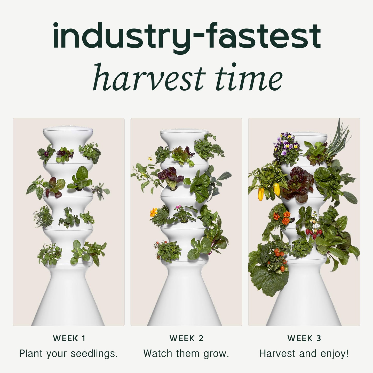 Farmstand Starter Kit + 24 Seedling Credit | Medium Hydroponic Growing System Kit | Self-Watering Outdoor Vertical Garden Planter Tower | 4ft 10in | Made in USA