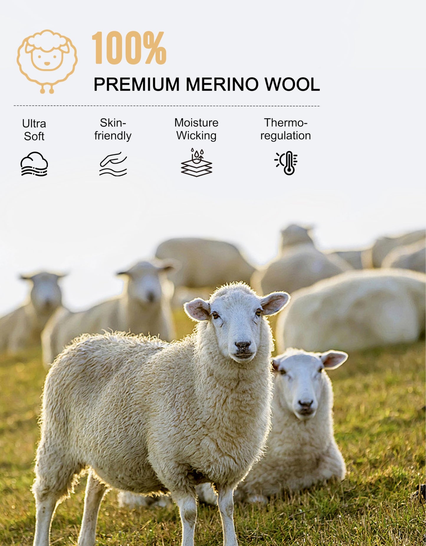 FORVEVO Merino Wool Base Layer Mens, 100% Merino Wool Long Sleeve Shirts for Men, Thermal Underwear Tops for Winter Ski (Black, 250g, L)