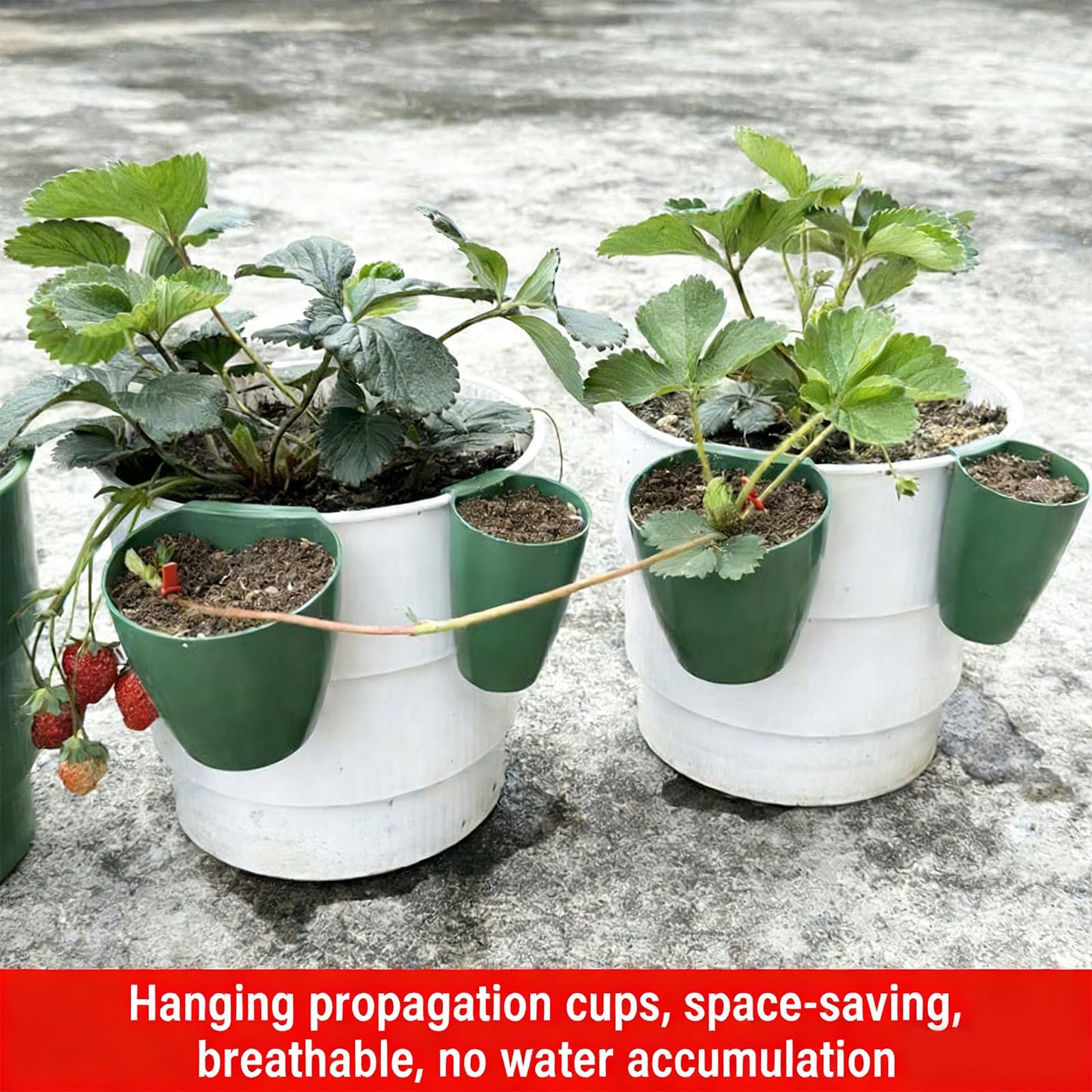 Strawberry Propagation Cups with Runner Forks Breathable Nursery Pots for Root Rot, Food Grade Greenhouse Seedling Cups for Balcony and Garden