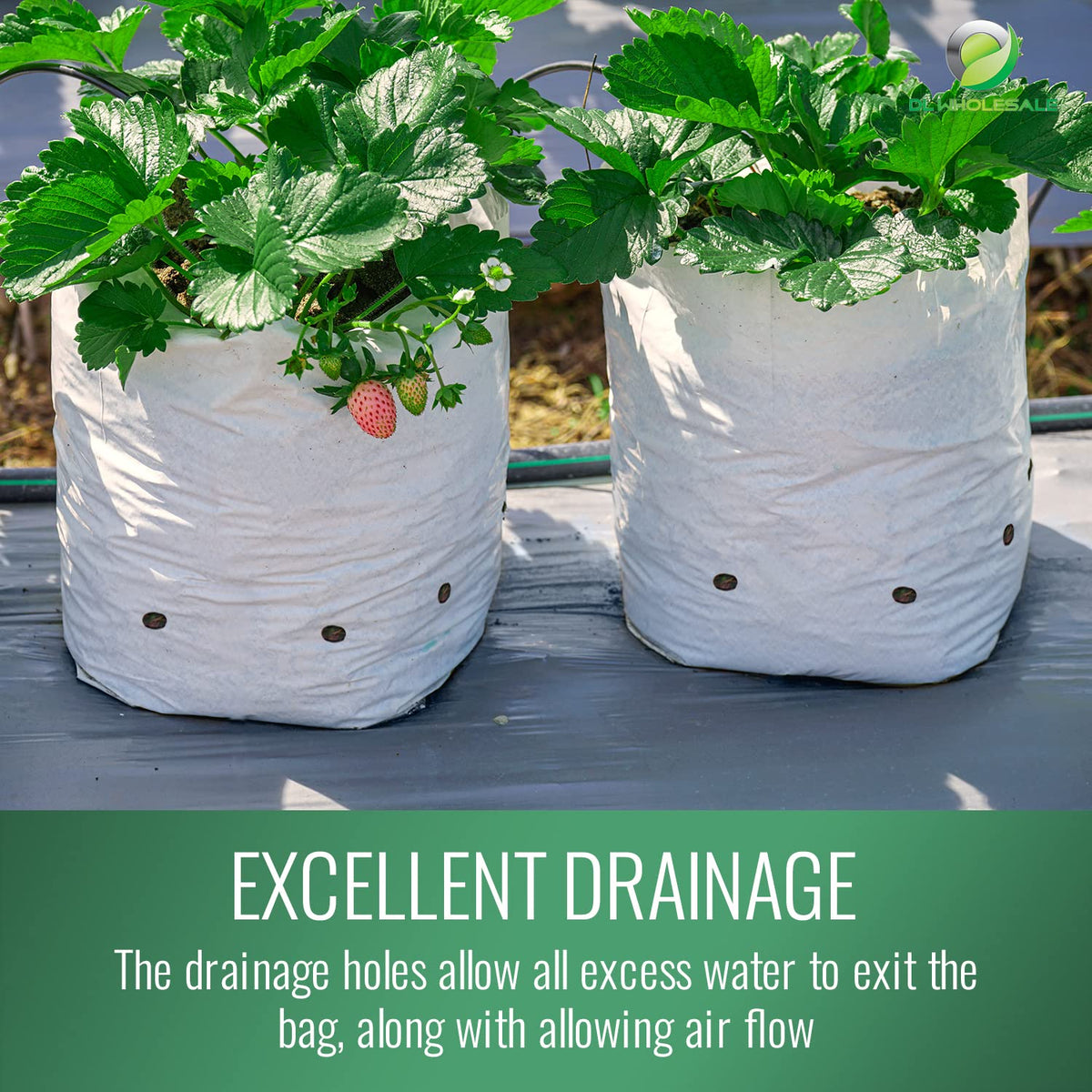 Grow1 20 Gallon Grow Bags (10 Pack) Black and White Poly Bags for Plants, Perfect for Plant Nursery Bags, Tree Grow Bags & Greenhouse Grow Bags, 20 Gallon Pots for Plants
