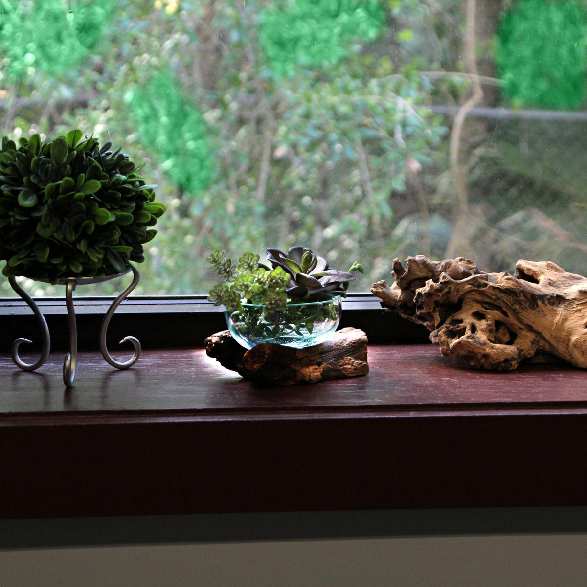 Wide-Mouth Glass and Teak Driftwood Sculptural Bowl – Unique 3.25” High, 5.75” Long, 4.5” Wide Decorative Centerpiece for Succulent Gardens, Floral Arrangements, and Home Décor