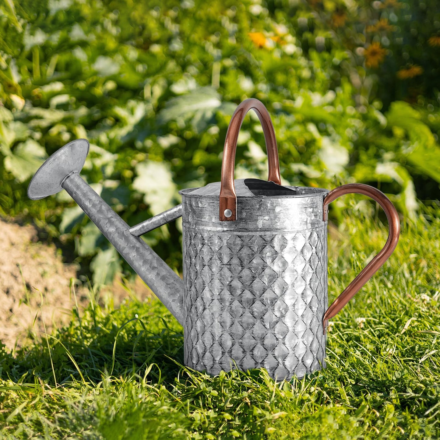 BLstyle 1 Gallon Metal Watering Can for Outdoor Indoor Plants, Galvanized Watering Can with Removable Spray Spout, Ideal for Garden Watering