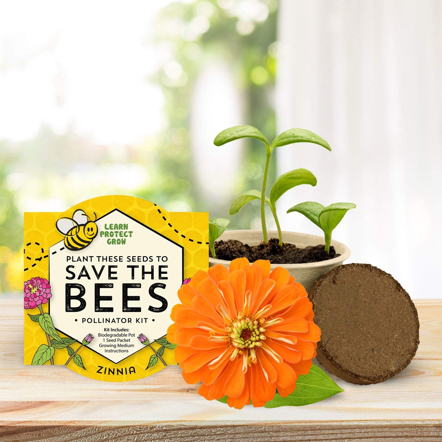 BUZZY Seeds Save The Bees Grow Kit, 12 Biodegradable Mini Flower Pots with Wildflower Seed Packets, Indoor Outdoor Planting Starter Set, DIY Gardening Gift, Sustainable Party Favors Adults