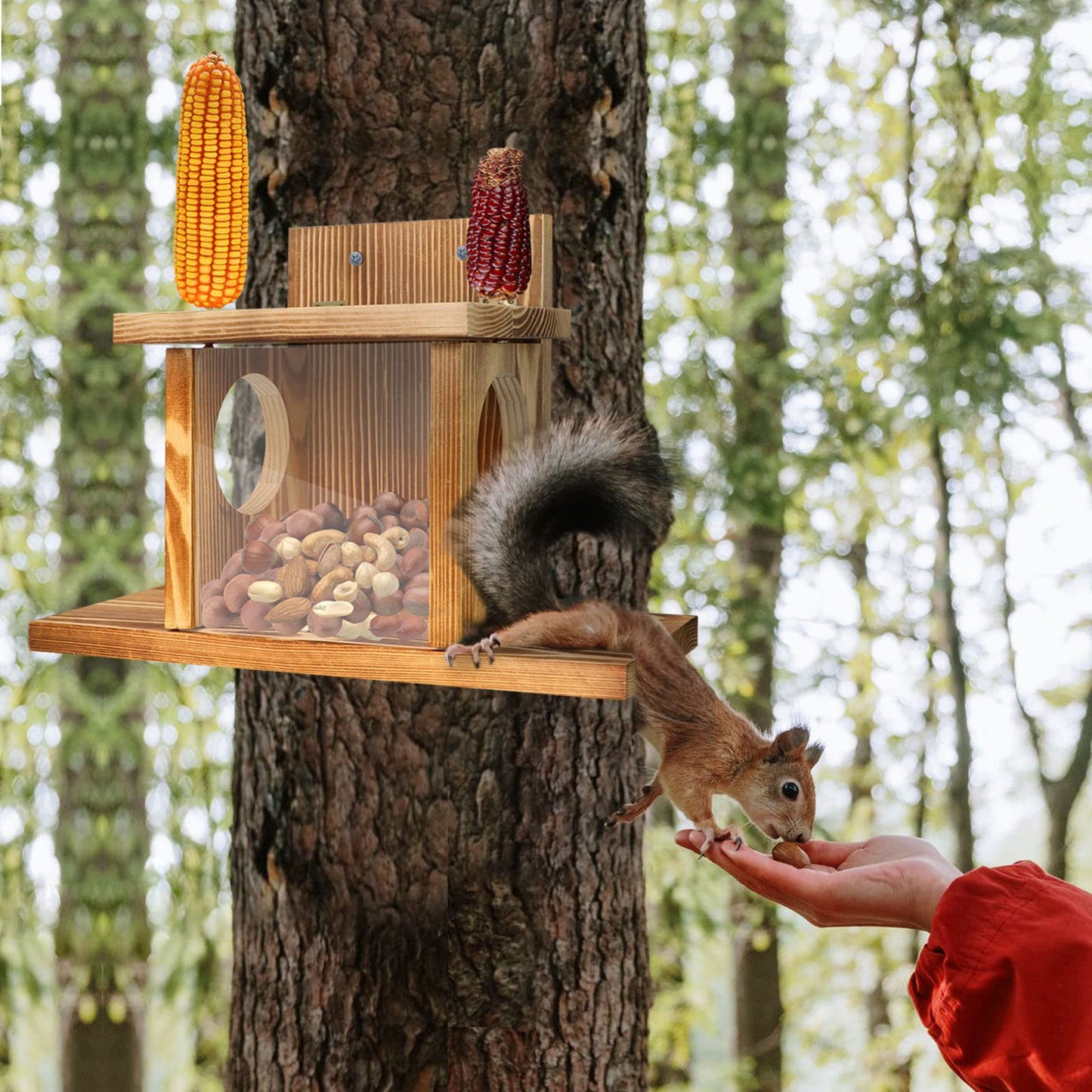Carbonized Wood Squirrel Feeder, Squirrel Feeders for Outside Winter, Durable Squrrill House Box Easy to Fill with Removable Front Panel, Wooden Chipmunk Feeder for Corn, Peanuts