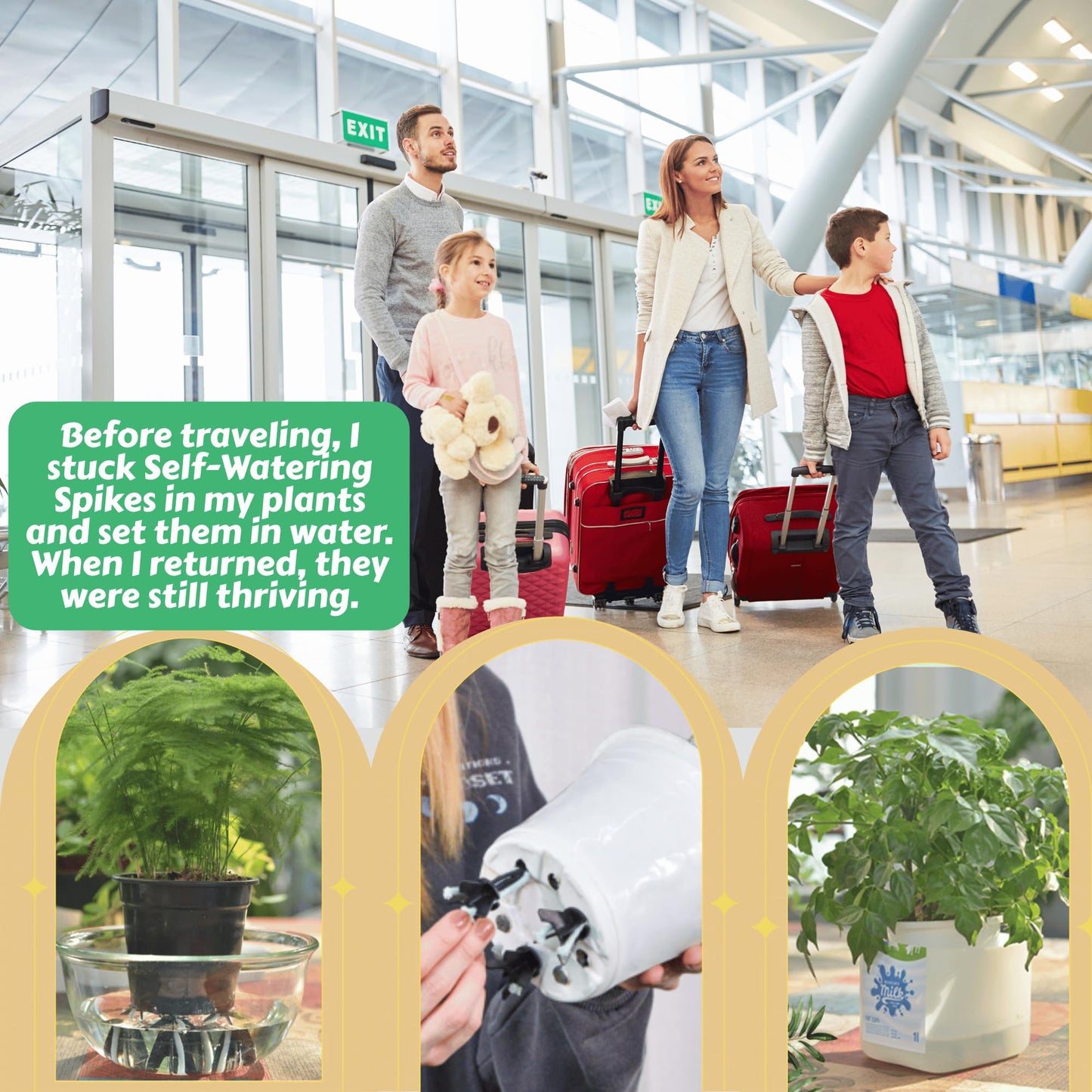 GreenShip 4-Pack Patented Self-Watering Spikes – DIY Plant Watering System for Indoor Plants, Fits Grower Pots, Reuse Containers, Automatic Self-Watering Stakes (Small)