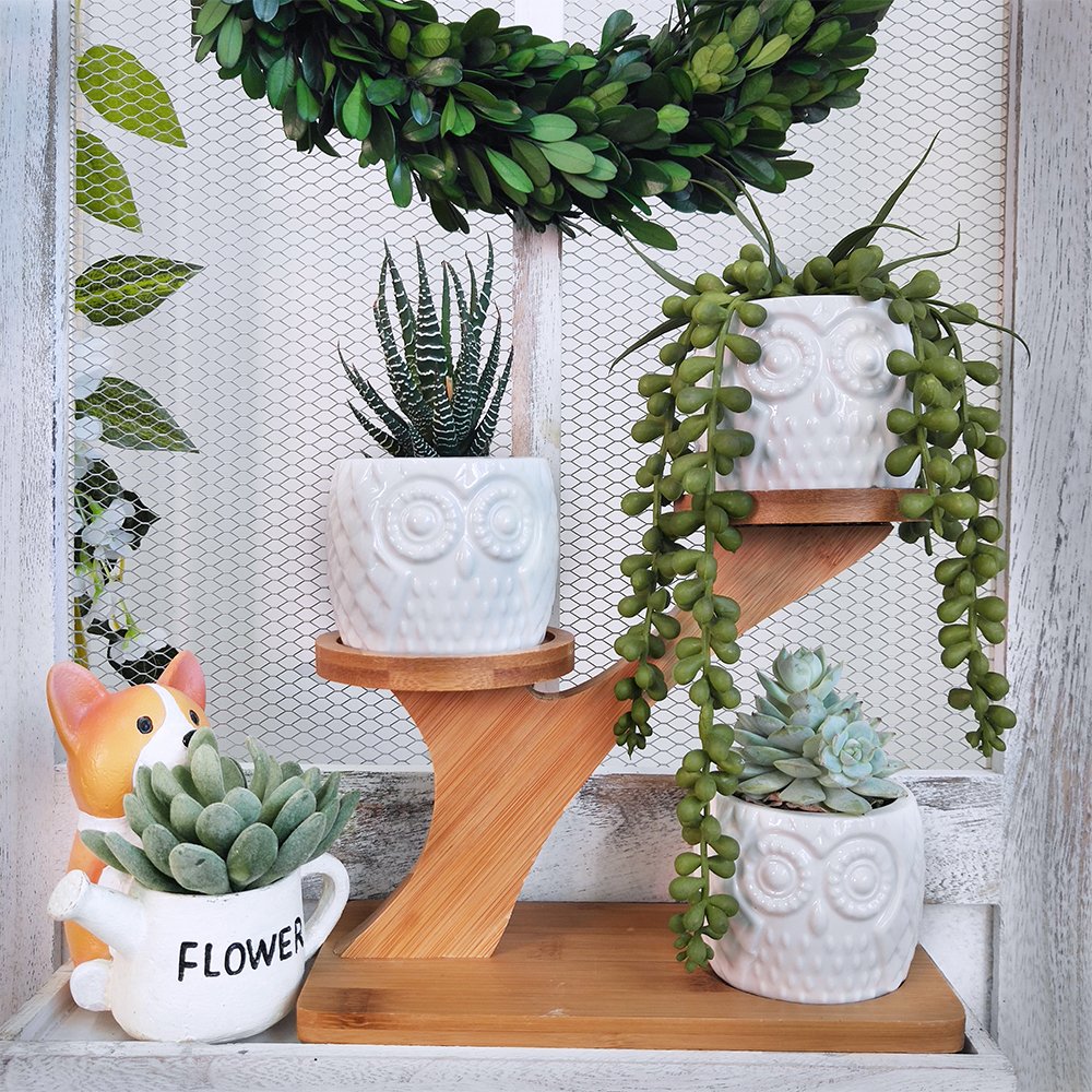 3pcs Owl Succulent Pots with 3 Tier Bamboo Saucers Stand Holder - White Modern Decorative Ceramic Flower Planter with Drainage - Home Office Desk Garden Mini Cactus Plant Pot Indoor Decoration