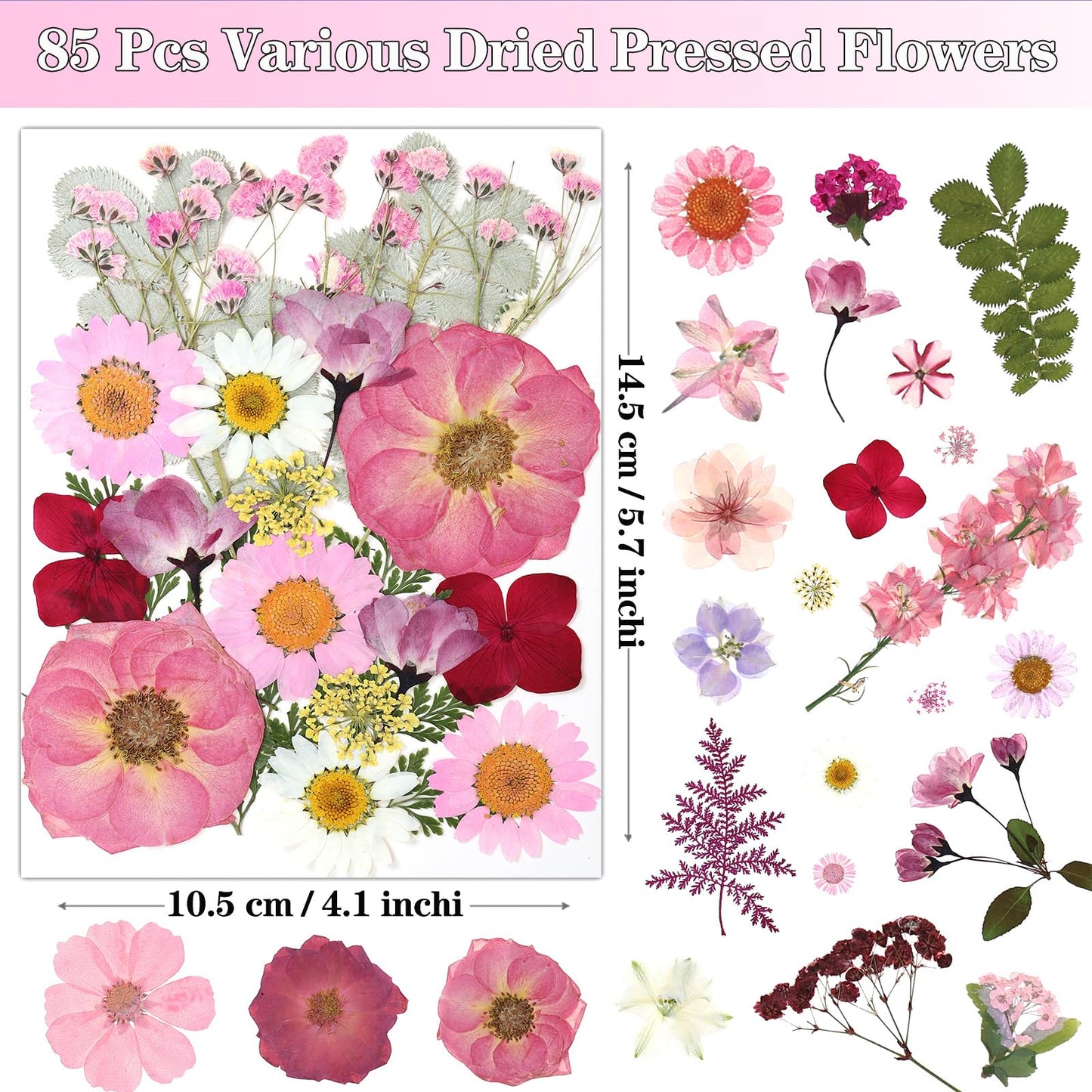 85Pcs Pink Dried Flowers for Crafts, Natural Pressed Flowers for Crafts Real Dried Pressed Flowers Dry Leaves for Resin, DIY Art, Scrapbook, Nails Decor, Jewelry, Candle & Soap Making, with Tweezers