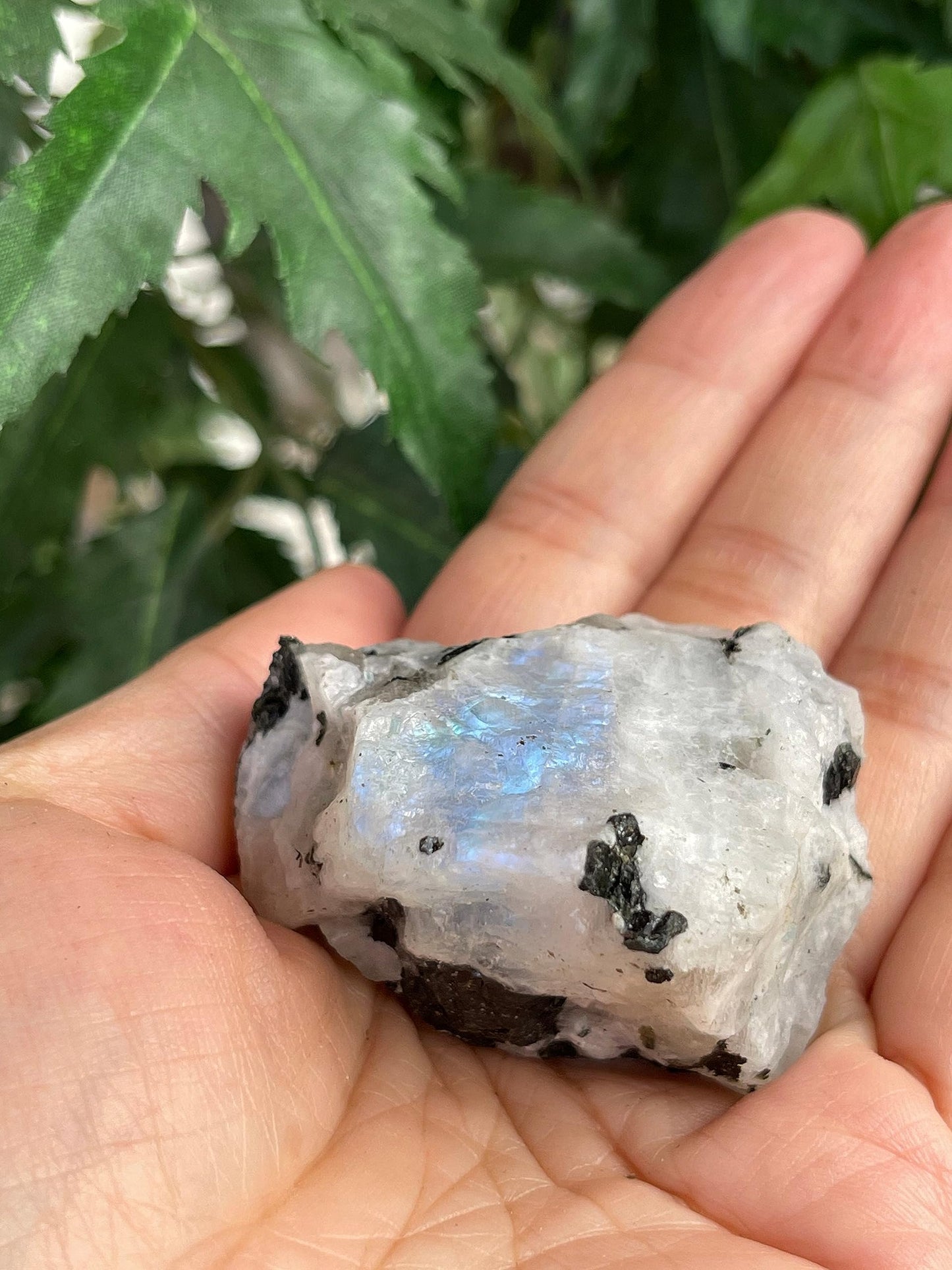 GAF TREASURES Wholesale Raw Rainbow Moonstone Crystals, Natural Rainbow Moonstone Stone, Rainbow Moonstone Rough, Rainbow Moonstone Healing Crystals (Rainbow Moonstone, 0.25 Pound)