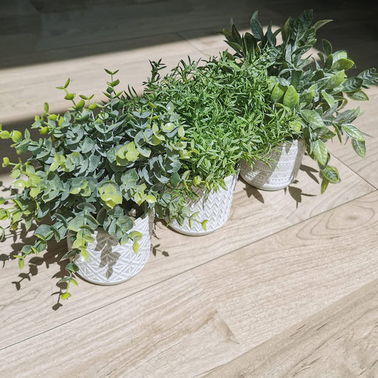 Set of 3 Assorted Small Potted Plants Fake Eucalyptus and Rosemary Plants in Gray Geometric Concrete Ceramic Pots for Gifts Home Kitchen Office Shelf Table Desk Modern Indoor Outdoor Greenery Decor