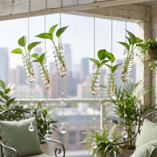 H&D HYALINE & DORA 6 Pcs Hanging Plant Propagation Station with Crystal Ball Prisms Suncatcher and Cleaning Brush, Glass Plant Suncatcher for Indoor Wall Plants Gifts for Plants Lovers(Silver)