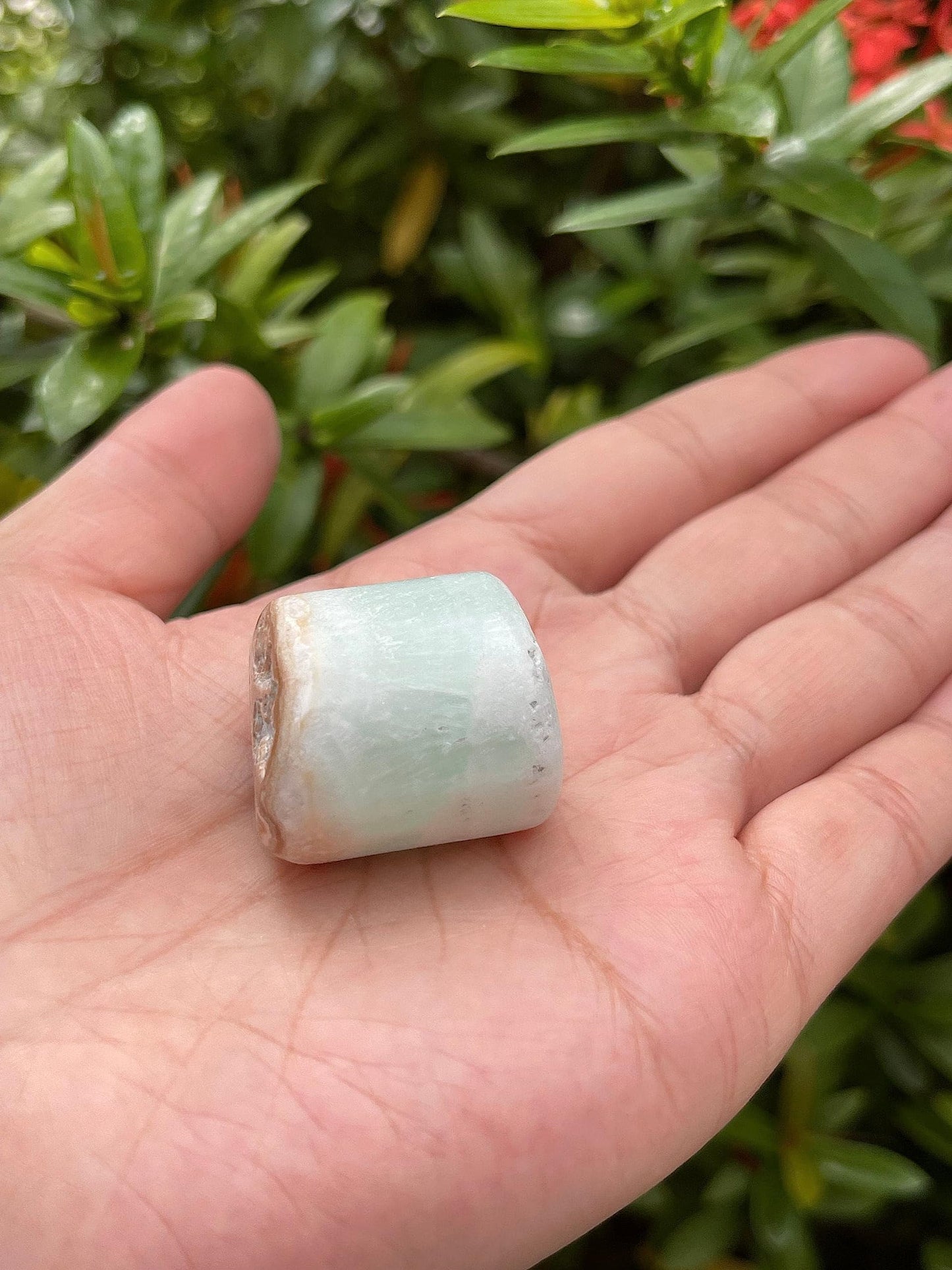 GAF TREASURES 5 Pcs Caribbean Calcite Tumbled Stones, Polished Natural Caribbean Calcite Gemstone, Caribbean Calcite Healing Crystals (Caribbean Calcite)