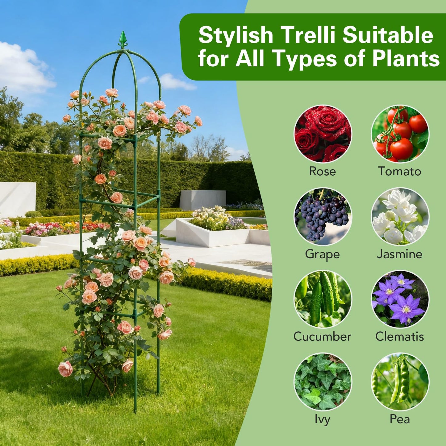 2 Pack Garden Obelisk Trellis for Climbing Plants, 72" Metal Rustproof Rose Trellis, Tower Potted Cages Plant Support for Flowers/Vegetables/Vines, Indoor Outdoor Garden Patio