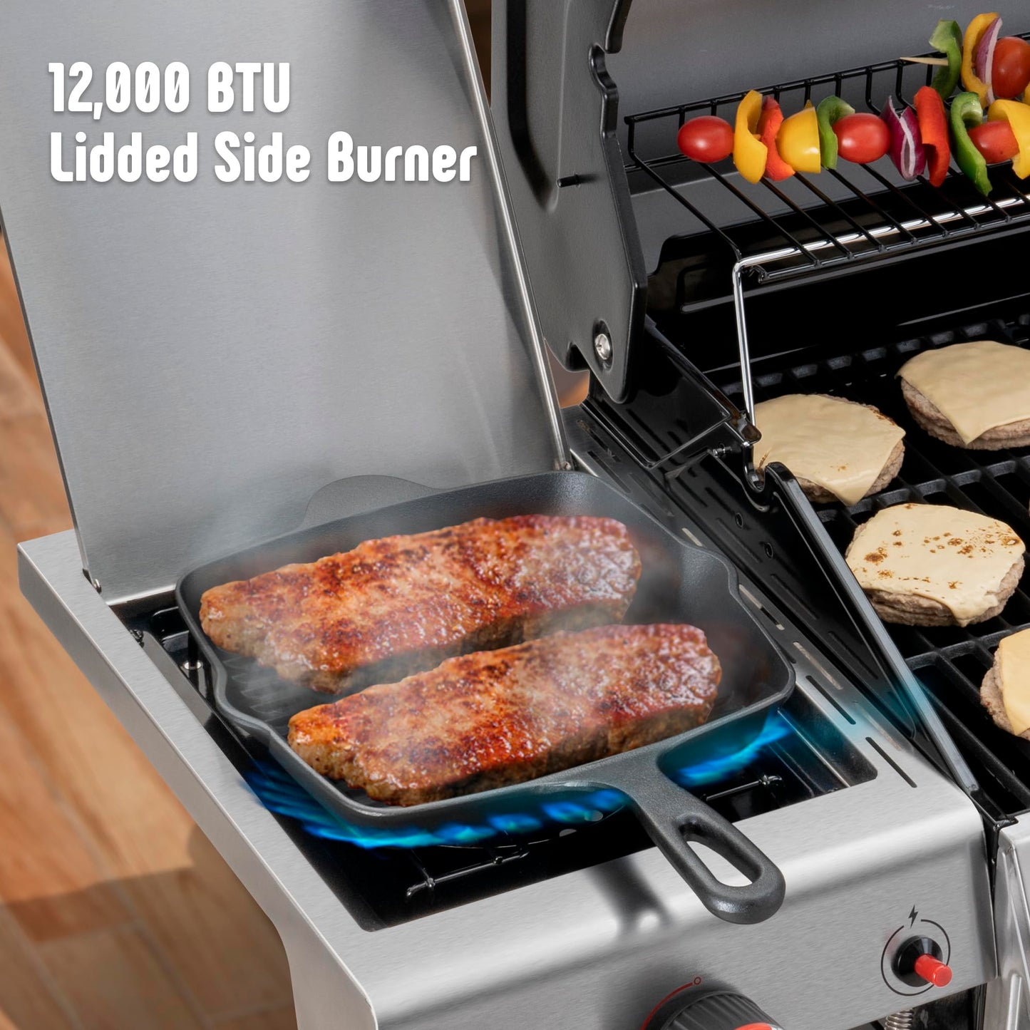 Feasto Propane Gas Grill, 36,000 BTU Outdoor Patio BBQ, Porcelain-Enameled Cookbox & Porcelain-Enameled Cast-Iron Grates, 559 Sq. In., Black (Black, 4) (Stainless Steel)