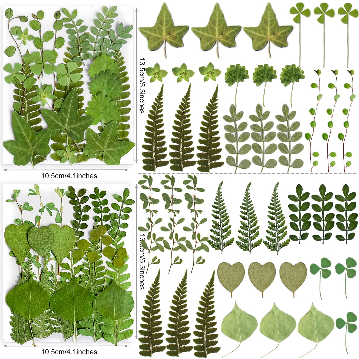 85PCS Real Dried Pressed Leaf Leaves, YouthBro Green Nature Plant Herbarium Set for DIY Jewelry Candle Soap Vase Making Nail Card Scrapbook Art Craft Floral Decors,28 Styles Green Mixed