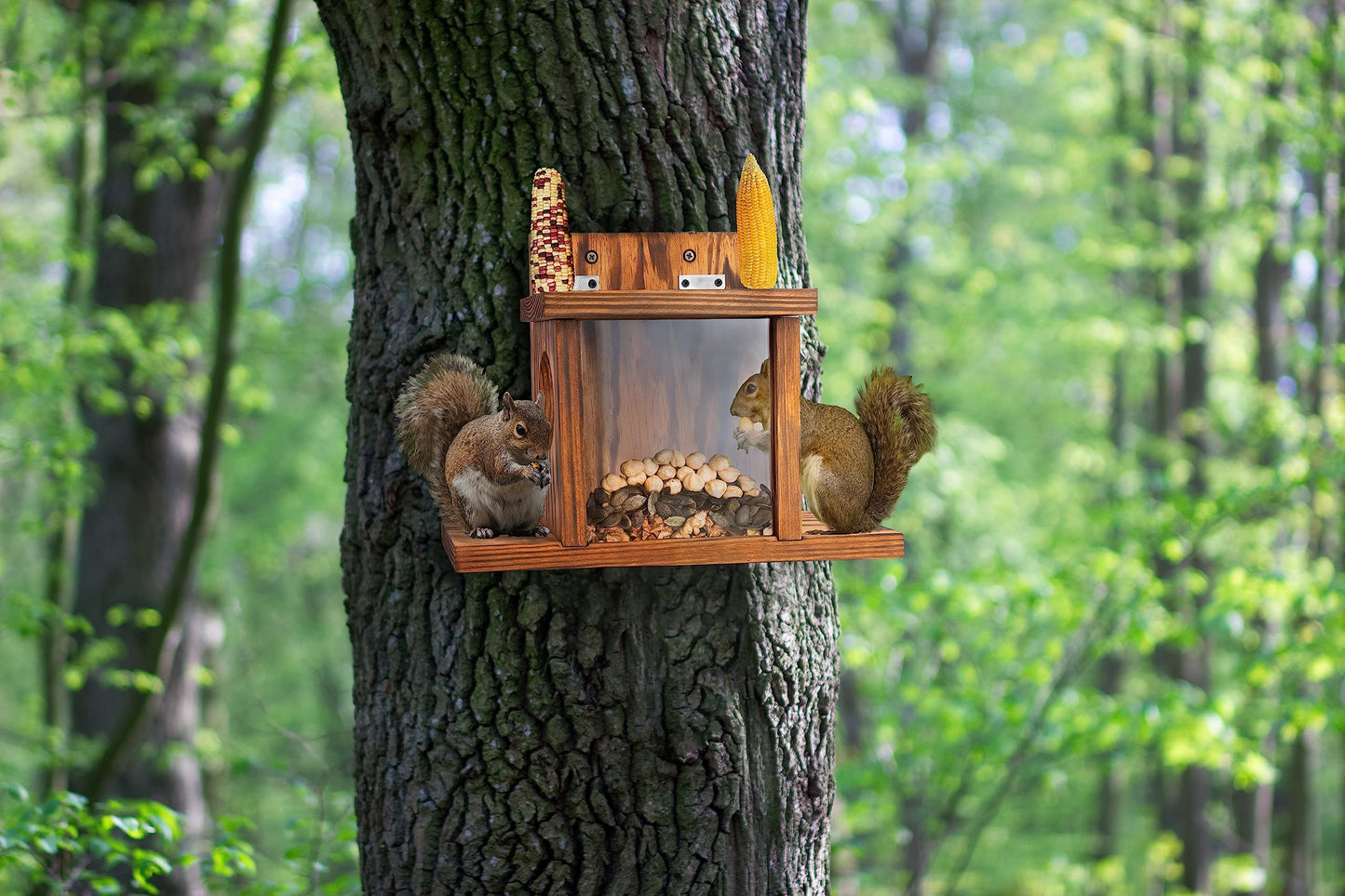 MIXUMON Wood Squirrel Feeder, Squirrel Feeders for Outside Winter, Wooden Chipmunk Feeder for Corn, Peanuts, Durable Box Easy to Fill with Removable Front Panel (Style 1)