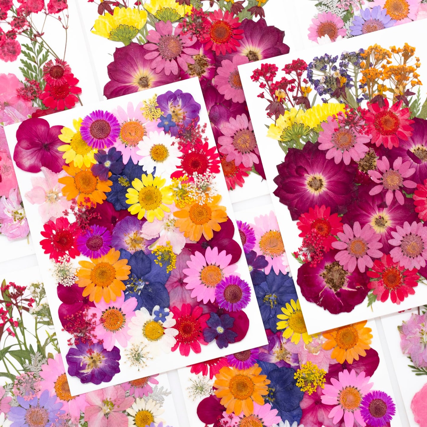 Natural Dried Pressed Flower Kit for DIY Crafts – Assorted Real Flowers & Leaves with Tweezers for Resin Art, Scrapbooking, Jewelry Making, Nail Art, and Home Décor