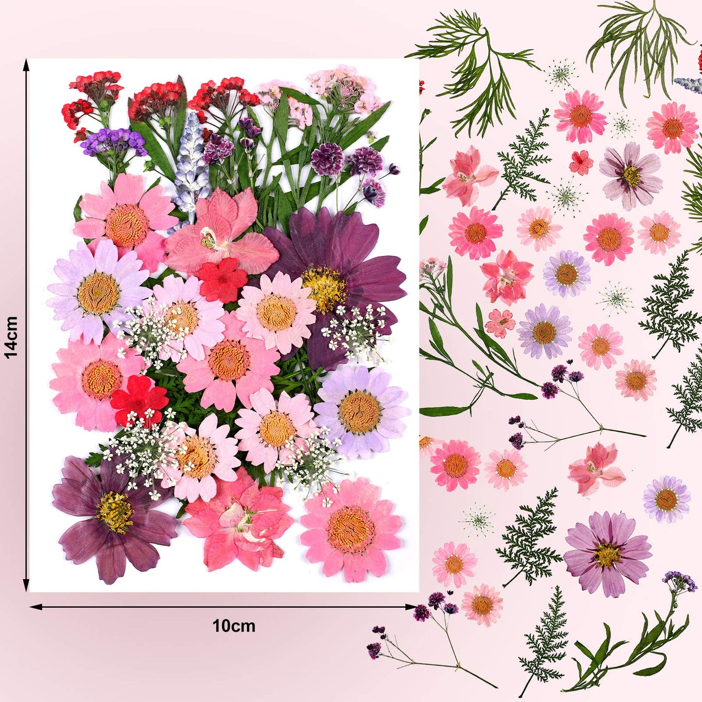 Dried Pressed Flower and Butterfly Transparent Sticker Set, Natural Real Dried Flower Butterfly Scrapbook Decal with Box and Curved Tweezers for DIY Decoration Resin Making (Bright Series)