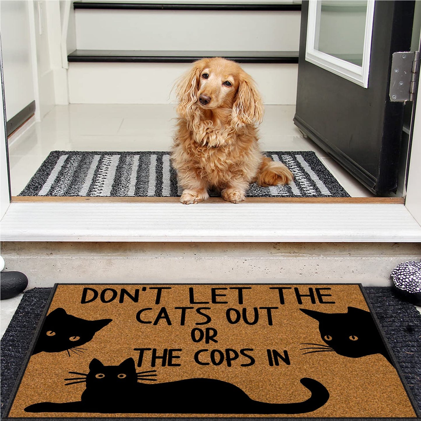 BinHang Indoor Welcome Mat, Door Mats Indoor Entrance Traps Sand and Dirt Well Fabric Don’t Let The Cats Out or The Cops in (30"X18")
