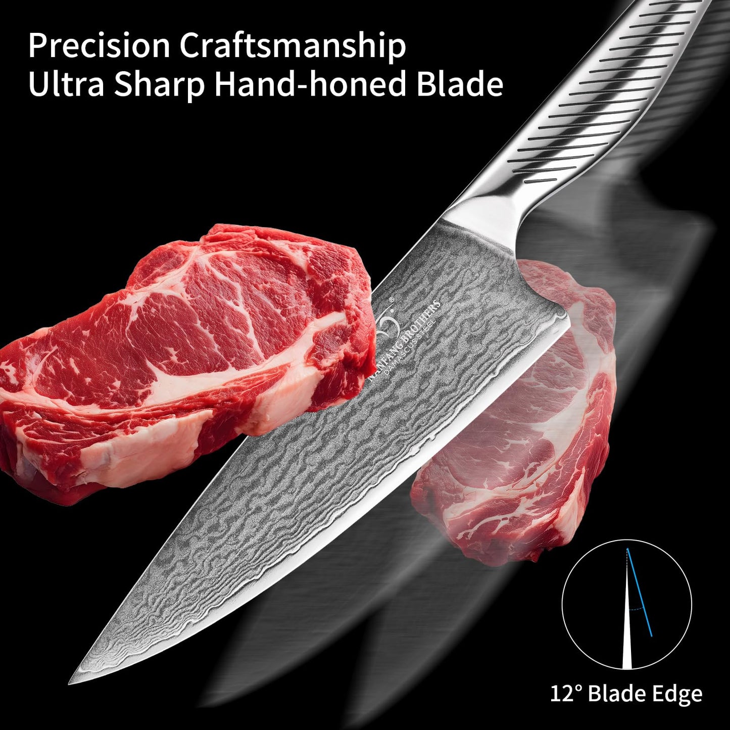 NANFANG BROTHERS® 10 Pieces Damascus Kitchen Knife Set, High Carbon Stainless Steel Damascus Steel Chef Knife Set, Stainless Steel Ergonomic Handle for Chef, with Built-in Sharpening Rod NF