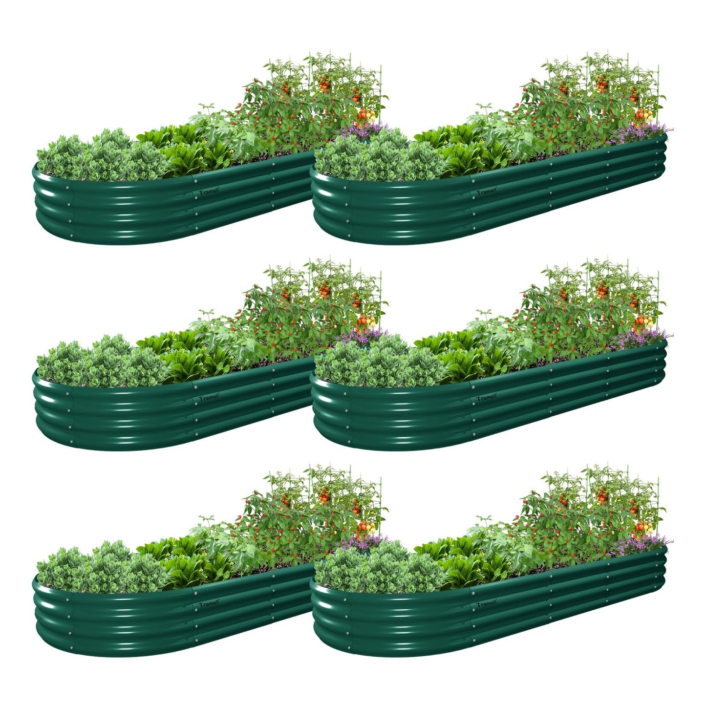 Tramull 6 Pack 8x3x1FT Galvanized Raised Garden Bed Kit Oval Metal Ground Planter Box Outdoor Bottomless Planter Raised Beds for Vegetables Flowers Herbs Fruits, Green