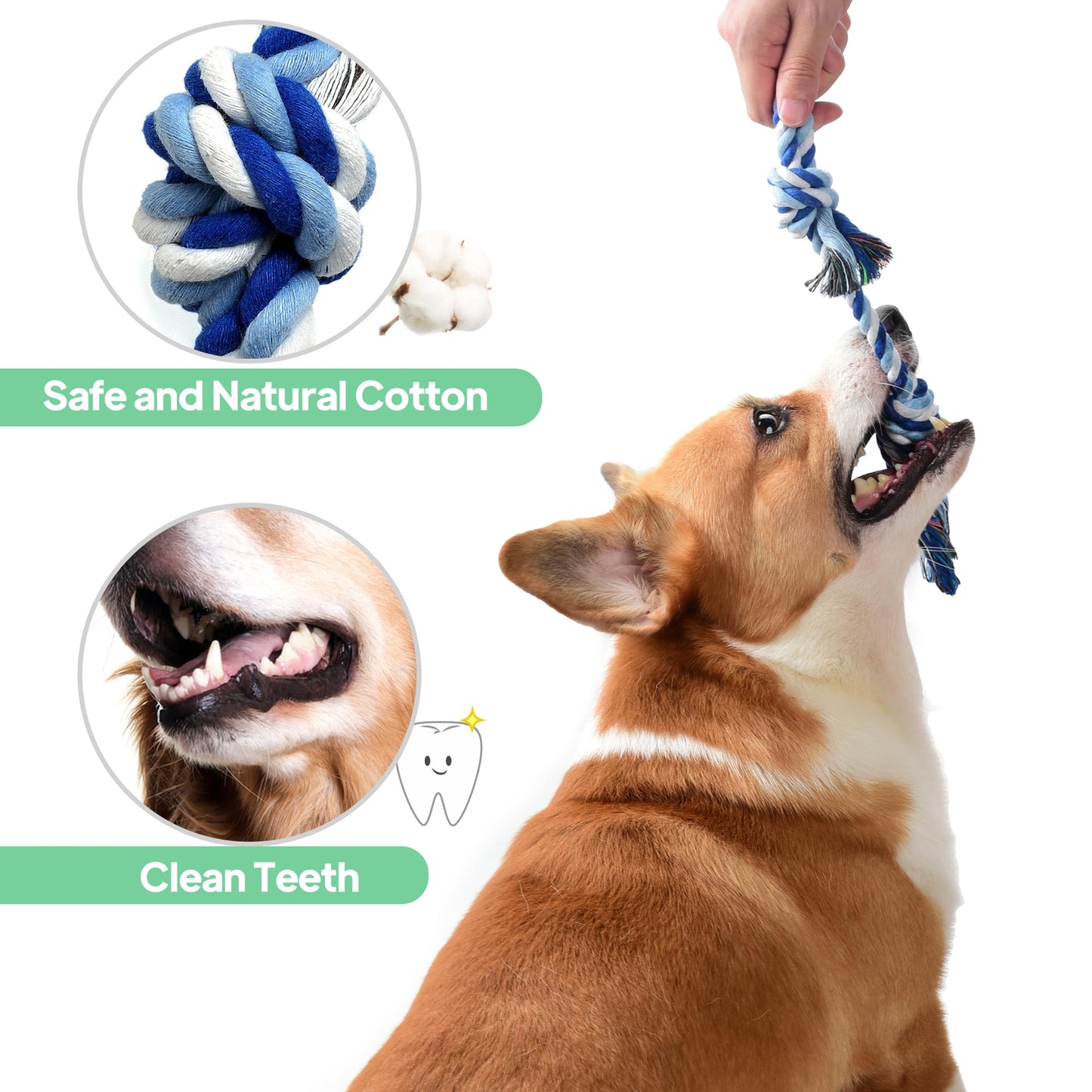 TwoEar Dog Rope Toy 4 Pack - Puppy Teething Toys for Small Breed - Indestructible Dog Chew Toys for Aggressive Chewers - Cotton Tug of War Dog Toys for Boredom, Teeth Clean