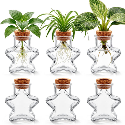 Threehoney 6 Pack Propagation Vases for Plants Glass Plant Propagation Station with Hole Lid Star Shape Hydroponic Vases Plant Growing in Water Hydroponic Home Office Table Decoration