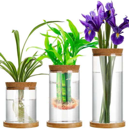 Maxcheck 3 Pcs 3 Sizes Plant Propagation Station Separated Glass Plant Terrarium Water Hydroponic Planter Holder with Lid and Wooden Stand Propagation Vase Pot for Home Indoor Office(Various Sizes)
