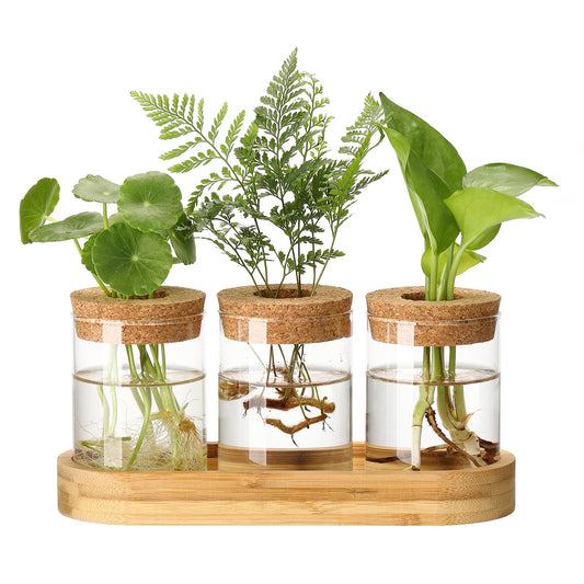 onepeng 3Pcs Propagation Stations, Plant Terrarium with Lid and Wooden Stand,Desktop Glass Planter Hydroponics Vase,Home Office Living Room Decor Gifts