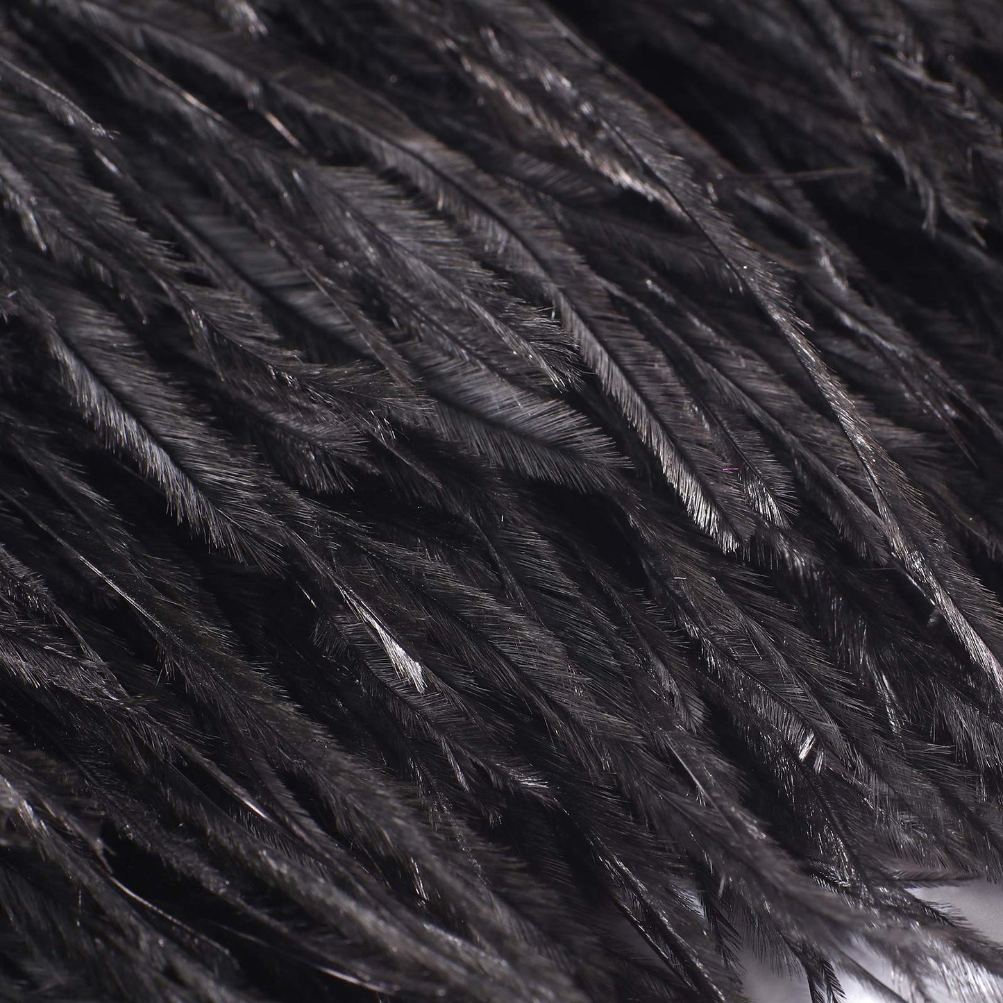 Natural Ostrich Feather Fringe Trim - Feathers Sewing Crafts Decor for Dress Costume 4-6 inches 2 Yards Erikord(Black)