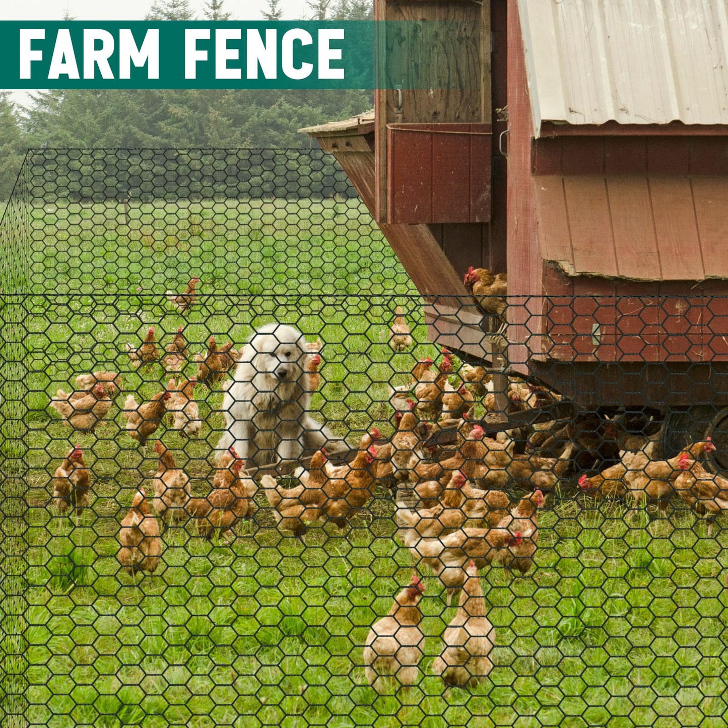GlikCeil 36 in x 300 ft Chicken Wire Mesh Fencing for Floral Garden, 23 Gauge Black Galvanized Steel Wire, 1 Inch Hexagonal Hardware Cloth Netting for Farm Crafts Poultry Coop Barrier Rabbit Cage