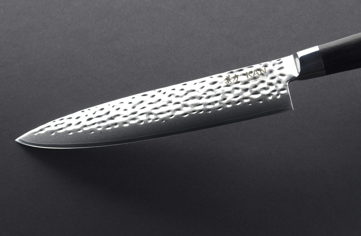 KAN Core Professional Chef Knife 8-inch VG-10 67 layers Damascus Ambidextrous (Hammered Japanese VG-10 Blade, Ebony wood handle-upgraded version)