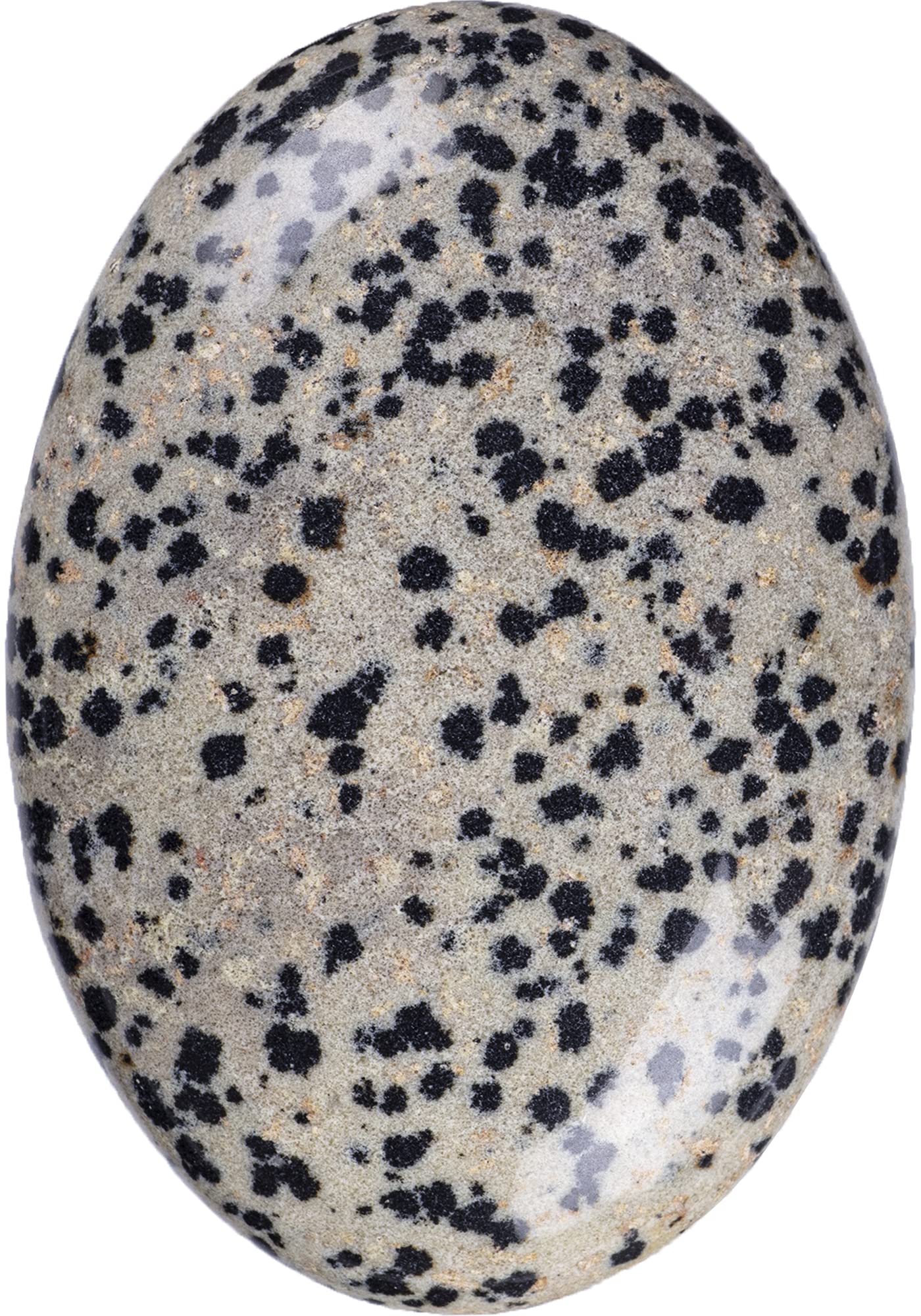 UFEEL Dalmatian Jasper Palm Stone Crystal Natural Chakra Therapy Polished Healing Crystal Oval Pocket Gemstone for Anxiety Stress Relief