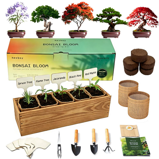 5 Pack Bonsai Tree Kit with Complete Tools, 5X Unique Seeds Bonzai Tree Live Kits, Complete Indoor Bonsai Starter Kit with Wooden Box, Perfect Christmas Garden Gift for Mom, Men, Women, Plant Lover