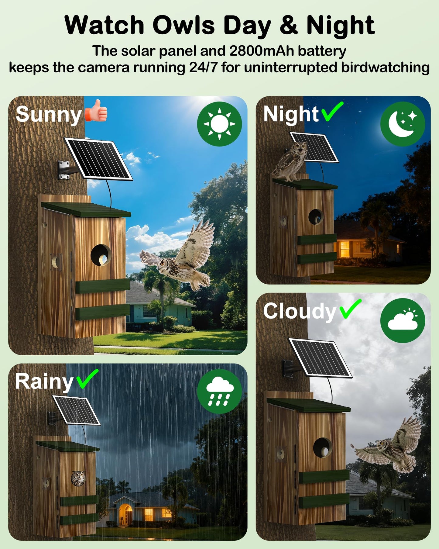 Owl House with Camera Solar Powered,4G Cellular, Anti-Corrosion Varnish Pinewood,Owls Nesting Box for Screech owl, 2K HD, Instant Alerts, Night Vision, APP Control,Nest Box for Outside（NOT WiFi）