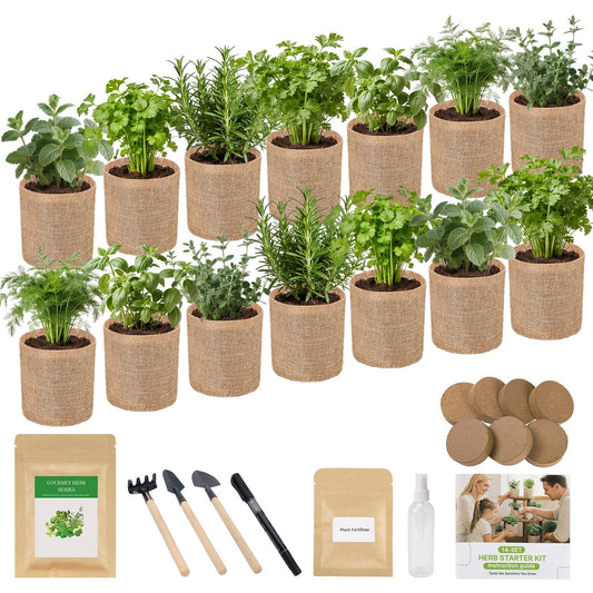 Herb Indoor Window Garden Kit - House Plants Seeds - Best Unique Christmas Gift Ideas for Women, Friend, Birthday, Housewarming, Mother, Beginner DIY Craft & Hobby Gardening Gift for Plant Lovers