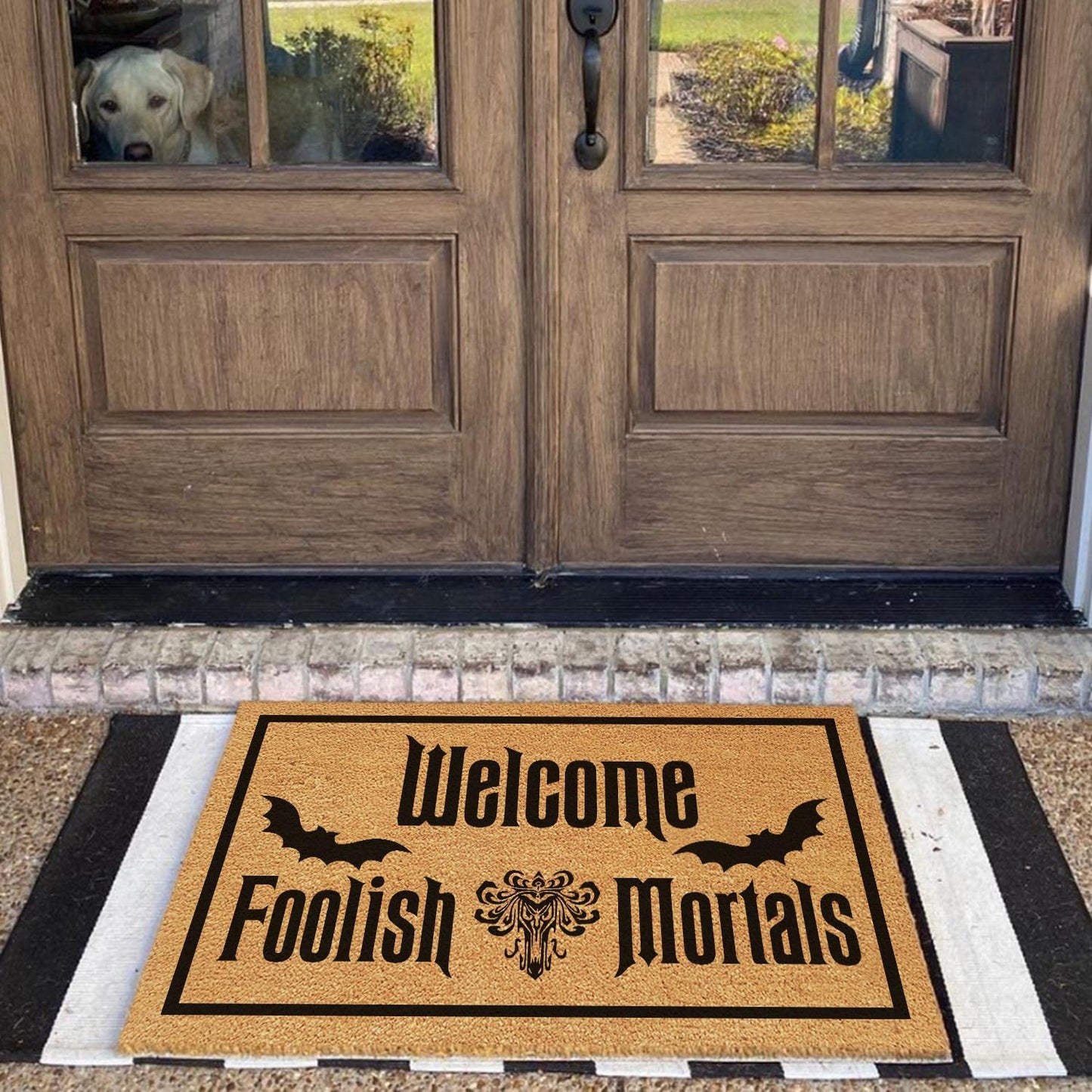 XLQHYH Funny Welcome Foolish Mortals Front Porch Decor Mat for The Entrance Way Personalized Rugs with Heavy-Duty PVC Backing Non Slip Outdoor Coconut Coir Doormat 23.6 x 15.7 inch
