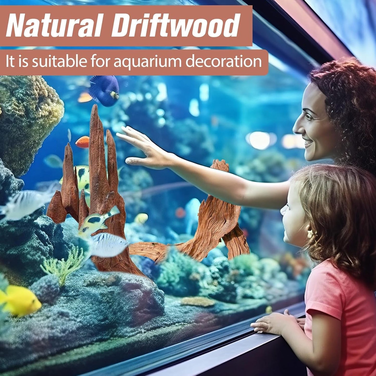 Hiwzitar 3-Piece 7-11 Inches Natural Aquarium Driftwood Decorations - Aquascape Decor for Fish Tanks, Betta Hideouts, Reptile Enclosures & Plant Attachment