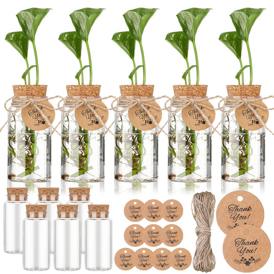Baderke 3.54'' Plastic Plant Propagation Stations with Hole Lid 4oz Planter Vase Clear Propagation Jars with Thank You Tags for Plant Lover Gifts for Women Office Home Garden(12 Pack)