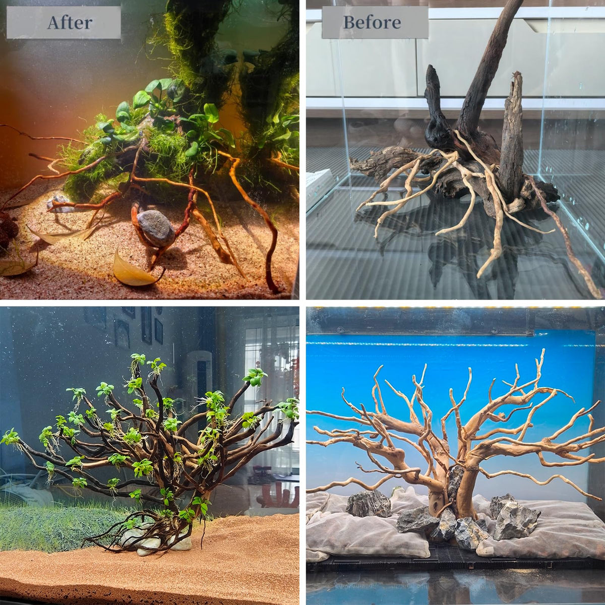emours Natural Aquarium Driftwood, [170g] (20–40 cm /8–16 in) - Unique Root/Spider Wood Branches for Aquascaping, Planted Tanks & Terrariums, Fish & Plants Decoration, Each Piece One-of-a-Kind(Mixed)