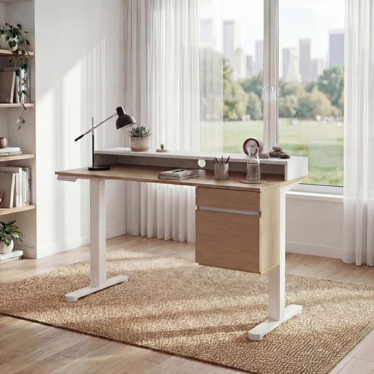 ErGear Electric 47 inch Standing Desk with Drawers and File Cabinet, Adjustable Stand up Desk with Storage, Ergonomic Sit Stand up Table Compatible Monitor Stand, Light Walnut