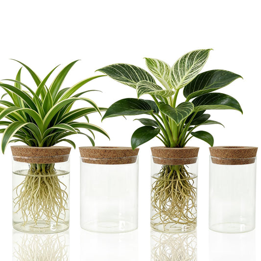 Glass Propagation Station for Plants Set of 4,Desktop Vases for Herb,Plant Cuttings,Planter Jars for Home,Propagation Flower Vases for Living Room,Bedroom,Home Office Decoration,Plant Lover Present