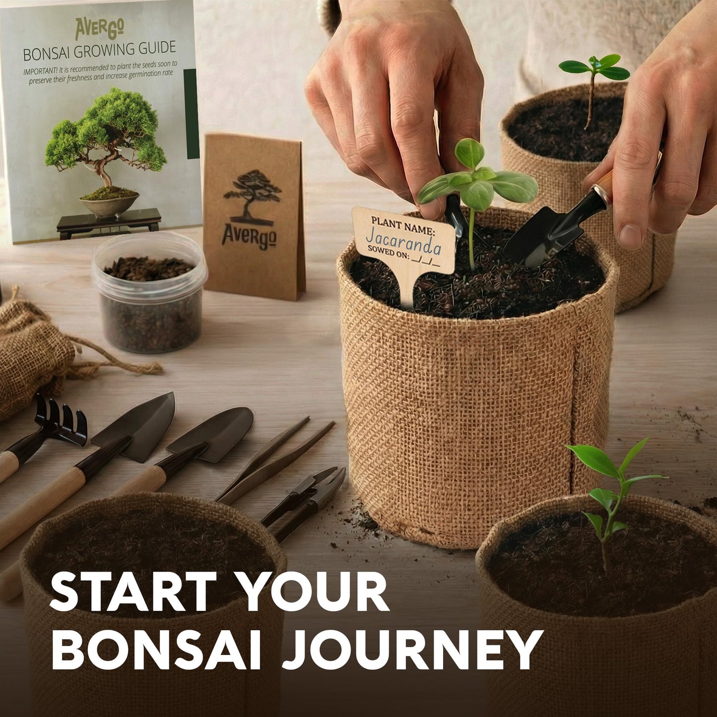 AVERGO Bonsai Tree Kit Deluxe - 5X Unique Japanese Bonzai Trees | Complete Indoor Bonsai Starter Kits from Seeds to Trees – DIY Gardening Gifts for Mother, Women & Men
