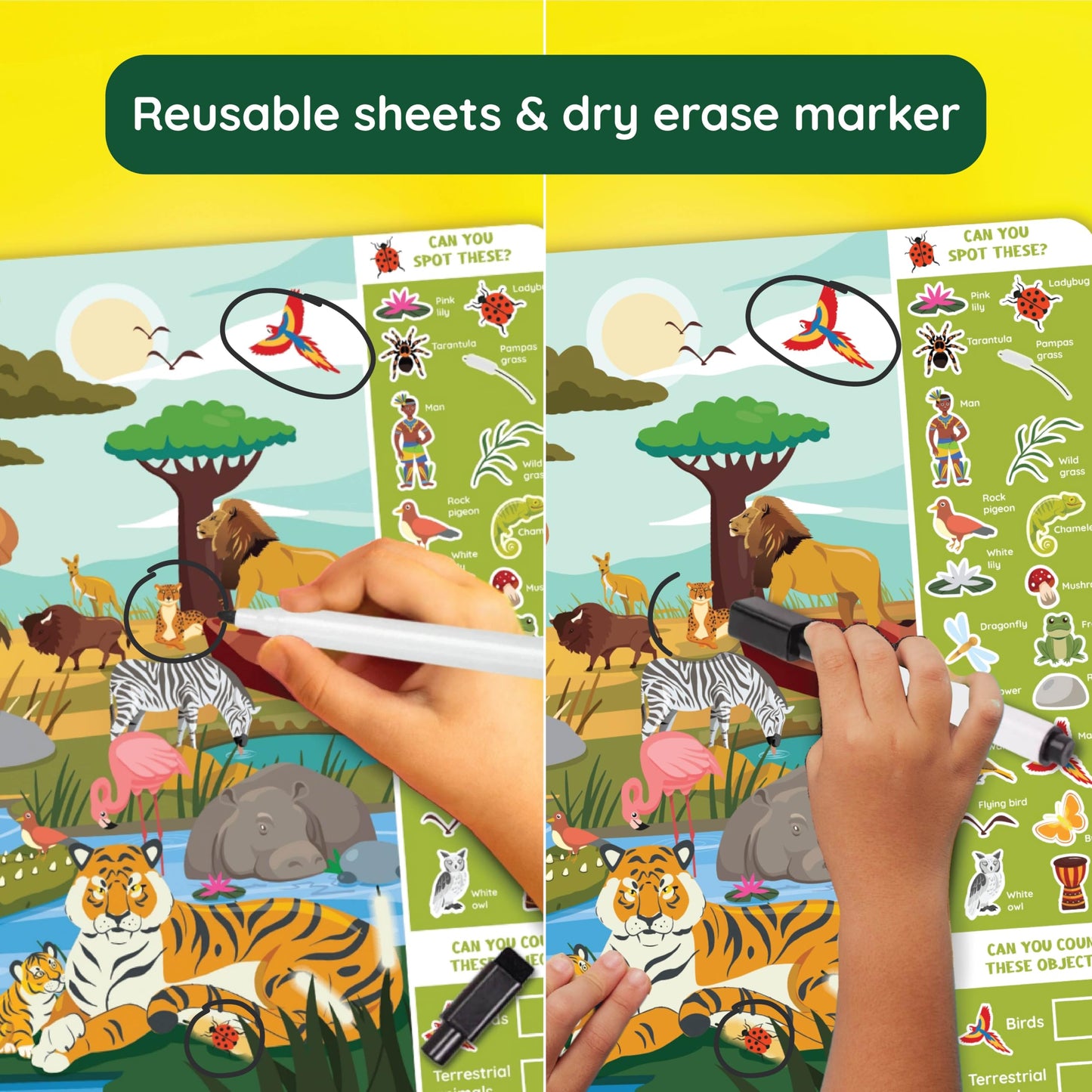 Zicster Preschool Learning Activity - Search N Spot Educational Game, Perfect for Kids, Toddlers Who Love Toys, Art and Craft Activities, Gifts for Girls and Boys Ages 4+